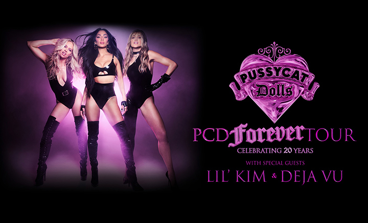 The Pussycat Dolls